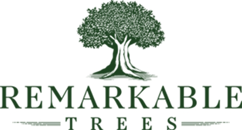 Remarkable Trees