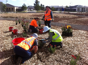 Grow the Garden Days