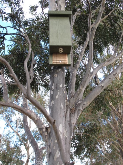Bat Box 3